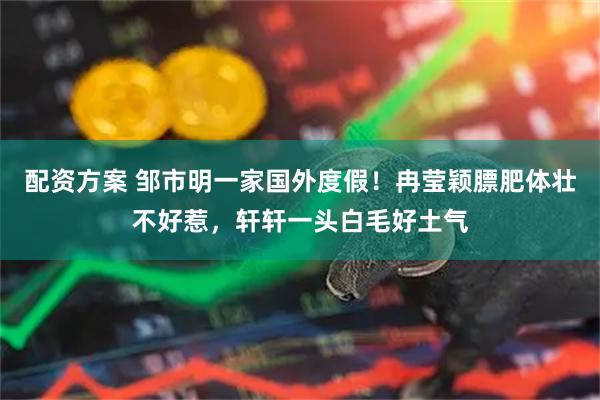 配资方案 邹市明一家国外度假!冉莹颖膘肥体壮不好惹,轩轩一头白毛好土气